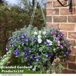 Splash Of Colour Collection