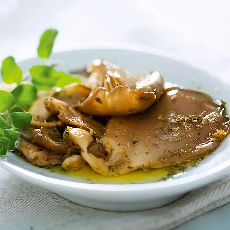 Mushroom Windowsill Kit - Oyster - Image 3